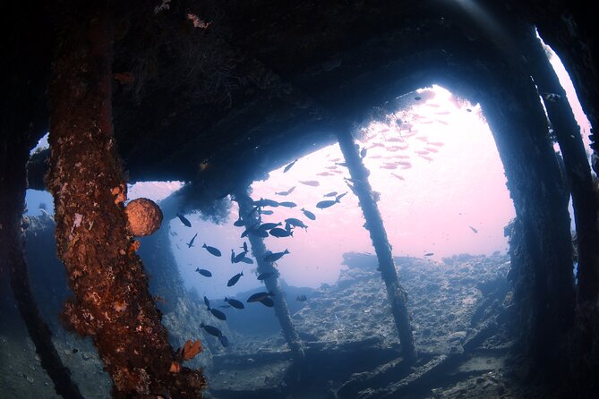 Shipwreck Diving in Tulamben - How the day flows from Kuta and back to Sanur