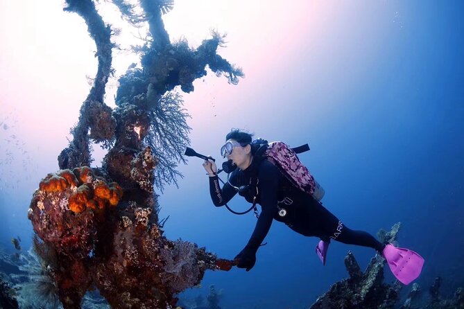 Shipwreck Diving in Tulamben - What’s included in the package, and what you will pay for