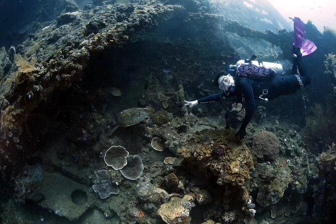 Shipwreck Diving in Tulamben - Guide support in plain words: what the crew is praised for