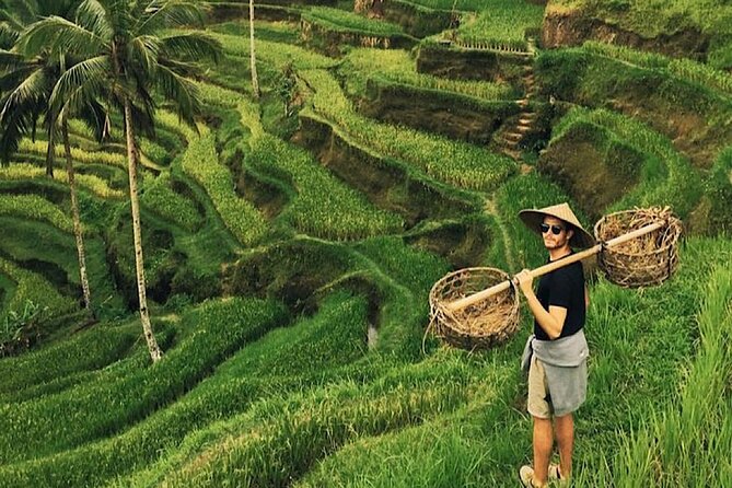 Shore Excursion Cruise Ship From Celukan Bawang Port - Cruise-Friendly North Bali, Starting From Celukan Bawang Port