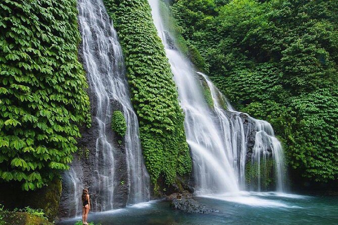 Shore Excursion Cruise Ship From Celukan Bawang Port - Banjar Hot Springs (Air Panas Banjar) for Warm, Mineral Soak Time
