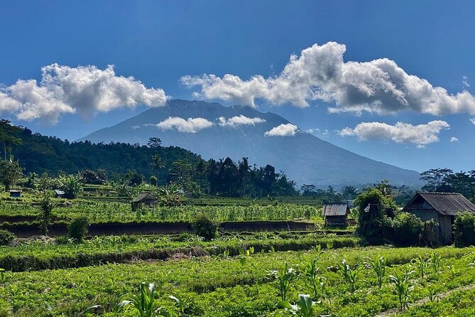 Sidemen Trekking: A Walk from a Different Perspective - Sidemen rice fields with Mount Agung in view