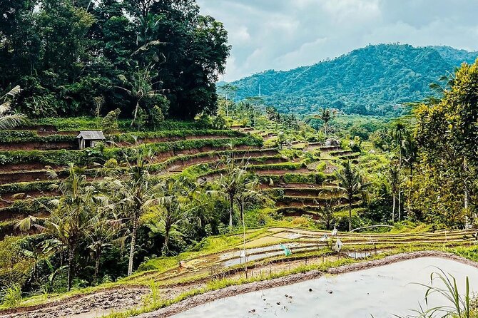 Sidemen Trekking: A Walk from a Different Perspective - Following irrigation paths and hidden terrace routes