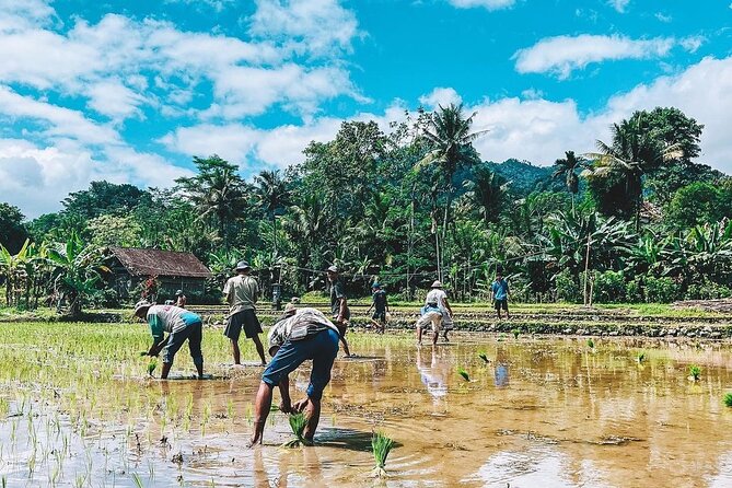 Sidemen Trekking: A Walk from a Different Perspective - How hard is this trek, really, and who should go