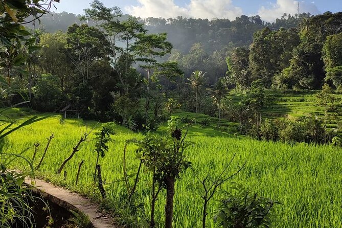 Sidemen Trekking: A Walk from a Different Perspective - What to pack: the four items that keep the day pleasant