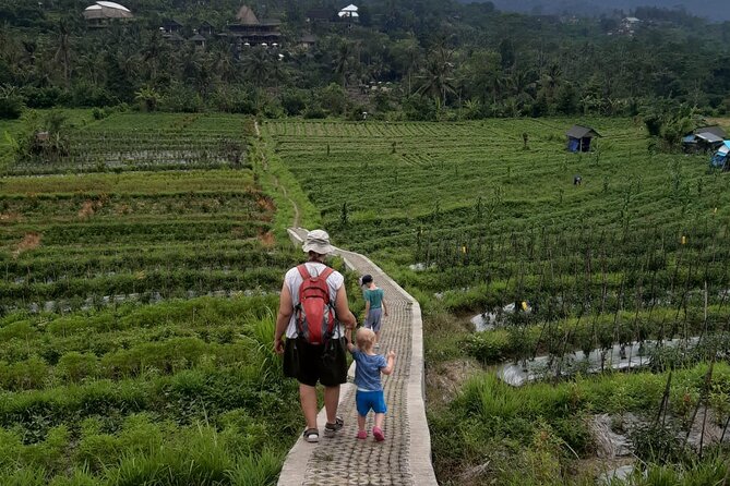 Sidemen Trekking Through Rice Terraces and Villages - Key highlights worth your attention