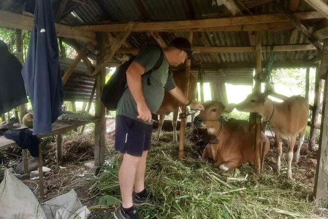 Sidemen Trekking Through Rice Terraces and Villages - Guide Quality: The Big Win With Wayan