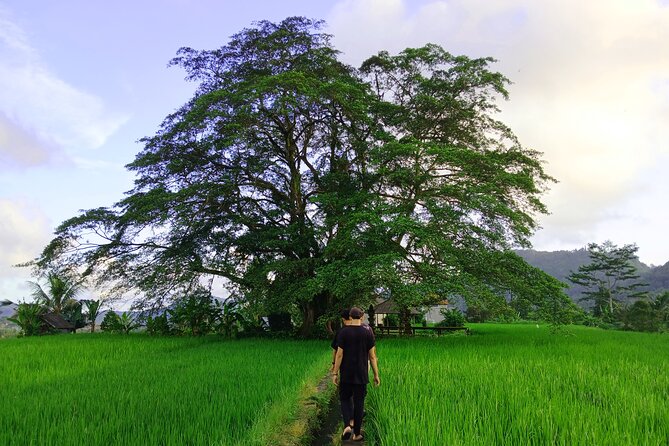Sidemen Trekking with Cultural Encounters and Nature Views - Key highlights I’d put first