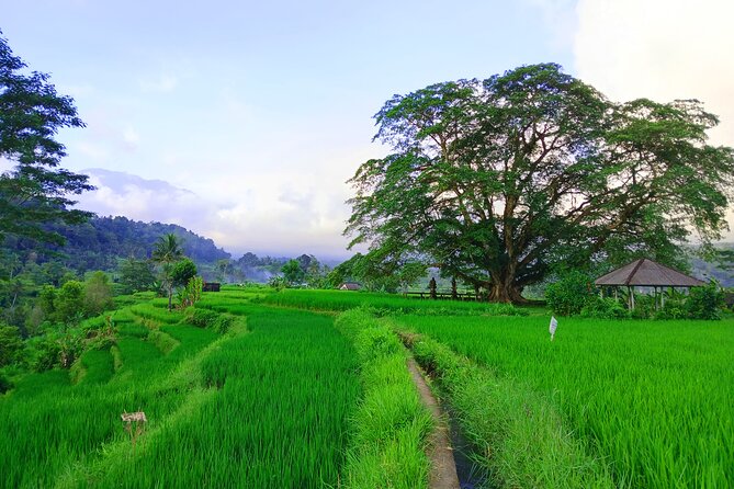 Sidemen Trekking with Cultural Encounters and Nature Views - Stop-by-stop: what you’ll see and what to watch for