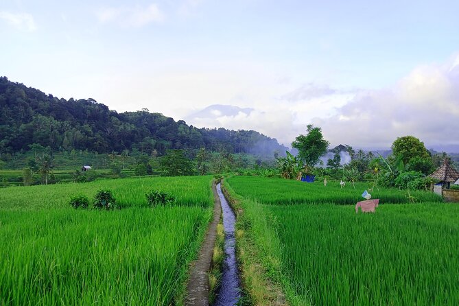 Sidemen Trekking with Cultural Encounters and Nature Views - Who this tour is best for