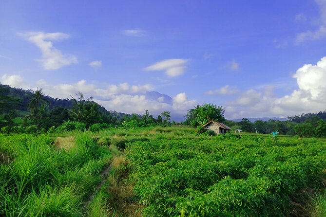 Sidemen Trekking with Cultural Encounters and Nature Views - How to get the best photos without stressing
