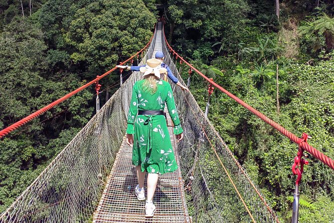 Situ Gunung Waterfall & Suspension Bridge Sukabumi start Jakarta - Price, timing, and who should book this day trip