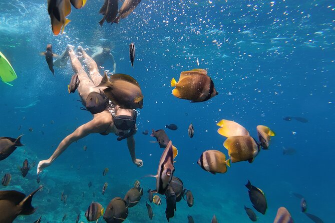 Snorkeling 4 Spot With Manta Bay Or Optional Land Trip - Stop Three at Wall Point: A Serene Water Stop Between Big Moments