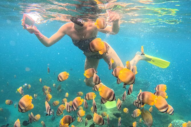 Snorkeling 4 Spot With Manta Bay Or Optional Land Trip - Stop Four at Crystal Bay: The Clear-Water Finish