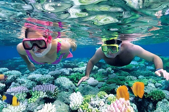 Snorkeling 4 Spot With Manta Bay Or Optional Land Trip - Where You Start: Manta Fish Snorkeling Pier in Nusa Penida