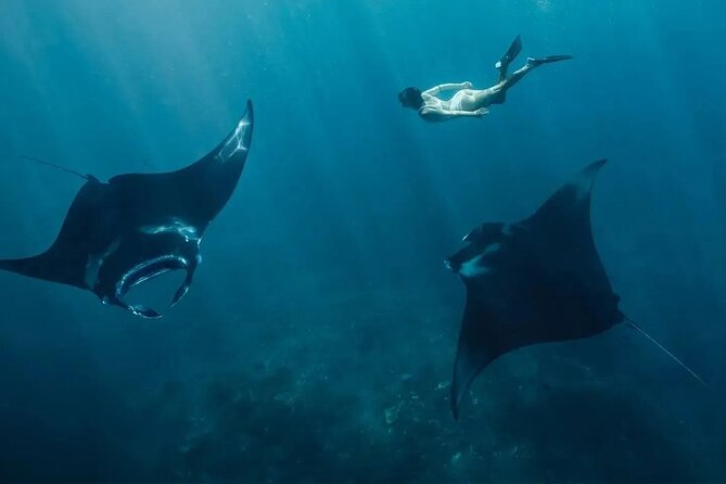 Snorkeling 4 Spots, Manta Rays, Tembeling Pool & Kelingking Beach - Quick highlights