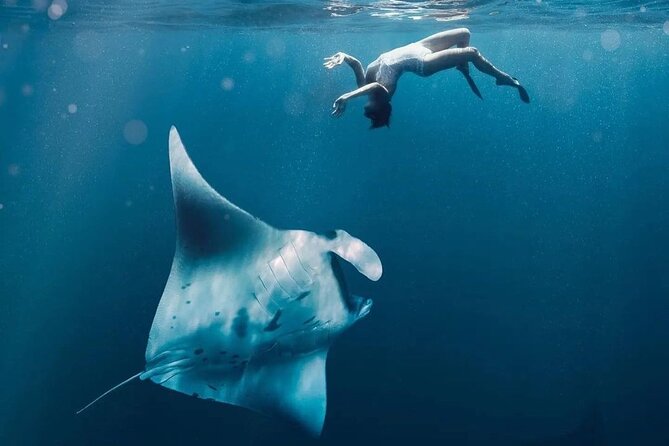 Snorkeling 4 Spots, Manta Rays, Tembeling Pool & Kelingking Beach - A 6 am start that gets you to Nusa Penida while the day is fresh