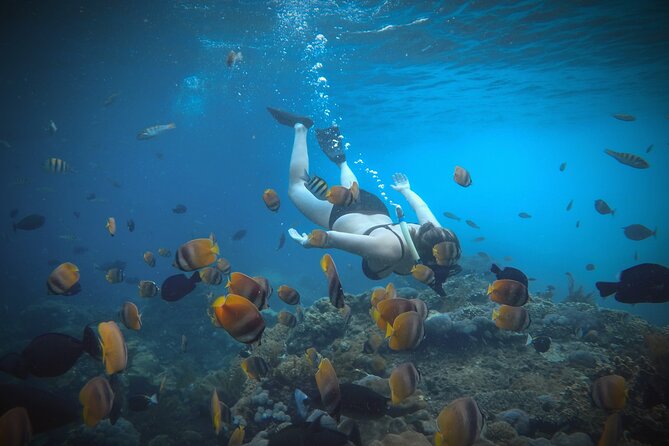 Snorkeling 4 Spots, Manta Rays, Tembeling Pool & Kelingking Beach - Who should book this Nusa Penida mix, and who should skip it