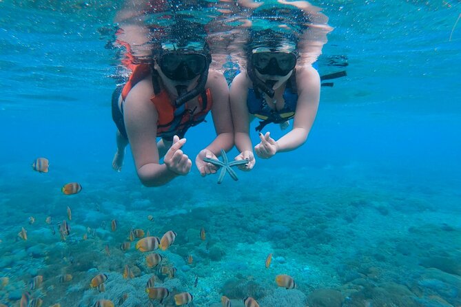 Snorkeling 4 Spots, Manta Rays, Tembeling Pool & Kelingking Beach - Lunch at El Moon Penida before the cliff and pool views
