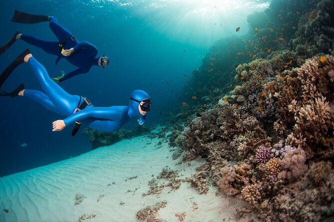 Snorkeling and Freediving Trip around Nusa Penida - Getting Ready: Gear, Briefing, Seasickness Help, and Safety Gear