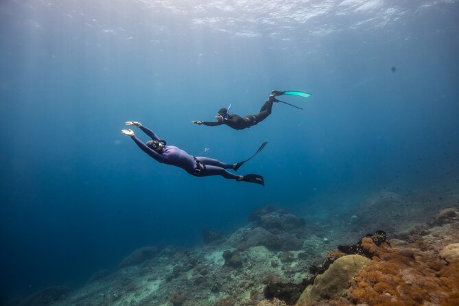 Snorkeling and Freediving Trip around Nusa Penida - What the Choppy Water Really Means for You