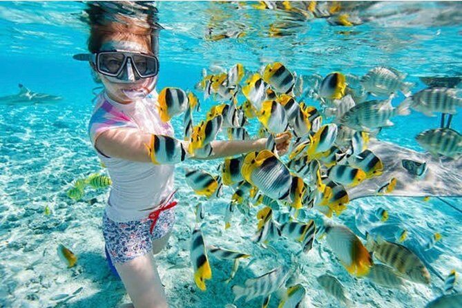 Snorkeling At Blue lagoon And Hidden waterfall - Key highlights to know before you go