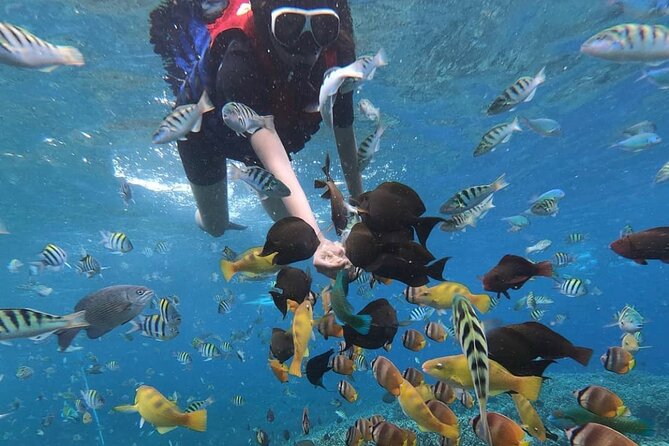 Snorkeling At Blue lagoon And Hidden waterfall - Why This Snorkeling And Waterfall Combo Works From Seminyak