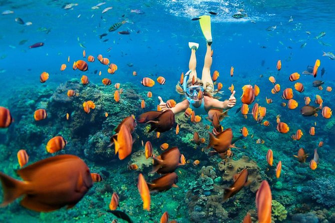 Snorkeling at Blue Lagoon Bali with Lunch and Transport - Key things I’d plan around