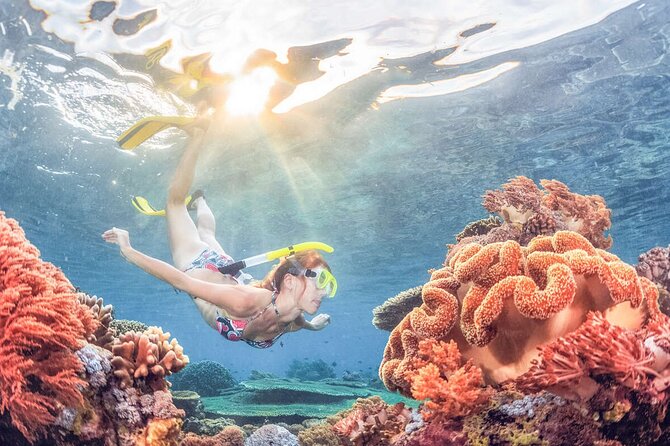 Snorkeling at Blue Lagoon Bali with Lunch and Transport - Ubud pickup, private transport, and the 6-hour rhythm