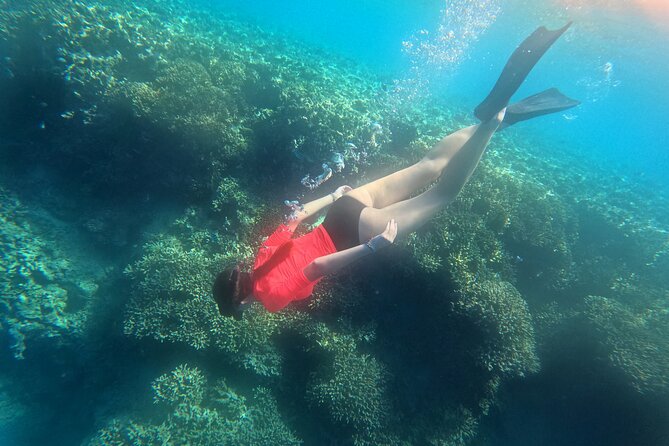 Snorkeling at Menjangan Island Bali Hidden Underwater Gem - Why Menjangan Island snorkeling feels calmer than southern Bali