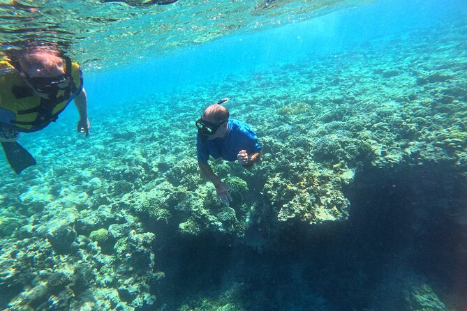 Snorkeling at Menjangan Island Bali Hidden Underwater Gem - Stop 2 in West Bali National Park: protected waters and a second reef style