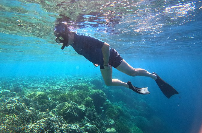 Snorkeling at Menjangan Island Bali Hidden Underwater Gem - Equipment, water comfort, and what’s included (snorkel and fin)