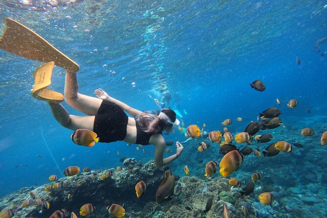 Snorkeling Day Trip To Lembongan and Penida - First, Know What This Tour Really Delivers in One Long Day