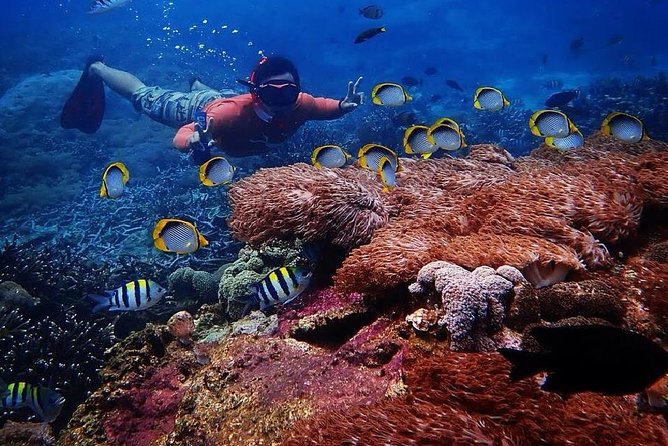 Snorkeling Day Trip To Lembongan and Penida - Where You Start in Bali and How the Timing Usually Feels