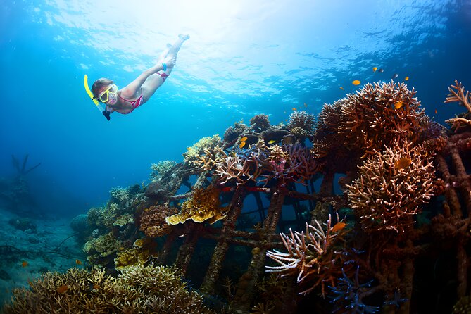 Snorkeling in Blue Lagoon Padang Bai Bali : Snorkel in the clear blue waters - The ride from Seminyak to Padang Bai (and why pickup timing can surprise you)