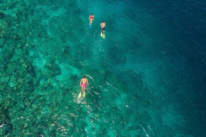 Snorkeling in Menjangan Island with Pickup and Lunch - First snorkeling session: clear water, turtles, and coral you can see