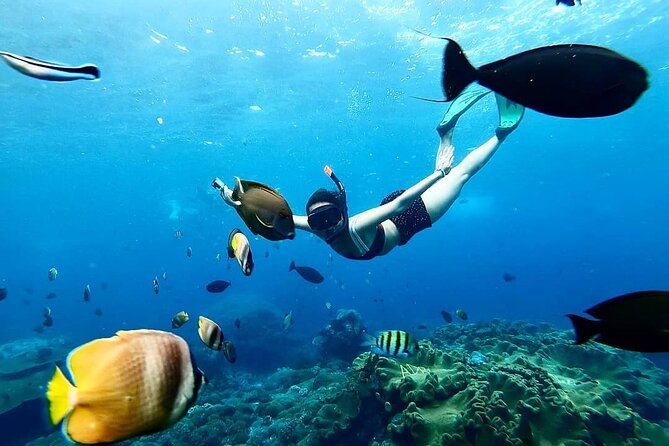 Snorkeling In Nusa Penida And Uluwatu Sunset Tours - How this Penida to Uluwatu day tour is really laid out