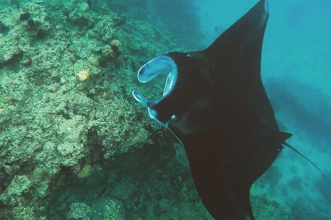 Snorkeling In Nusa Penida And Uluwatu Sunset Tours - Uluwatu Temple at sunset time: the cultural centerpiece