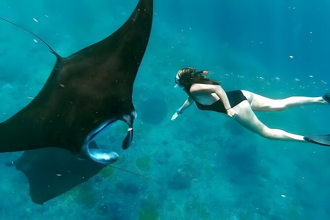 Snorkeling In Nusa Penida Departing From Bali Island - Key things I’d notice before booking
