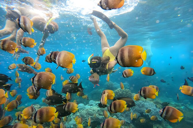 Snorkeling In Nusa Penida Departing From Bali Island - On Nusa Penida: Crystal Bay, Wall Point, and what “multiple stops” really means