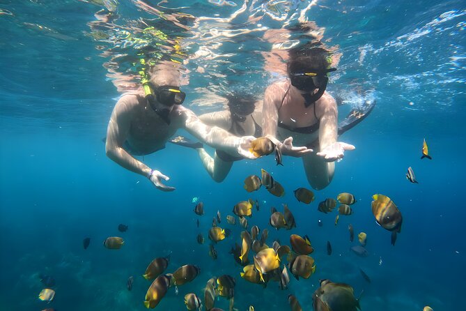 Snorkeling In Nusa Penida Departing From Bali Island - Gamat Bay: good reef time, but visibility is weather-dependent
