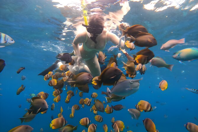 Snorkeling In Nusa Penida Departing From Bali Island - Manta Bay: the stop with the biggest ups and downs