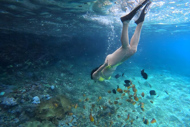 Snorkeling In Nusa Penida Departing From Bali Island - Wall Point timing: why some stops feel stronger than others