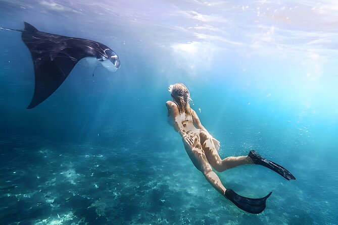 Snorkeling In Nusa Penida Island With Manta Ray From Bali - Key highlights worth your time