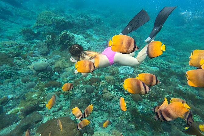 Snorkeling In Nusa Penida Island With Manta Ray From Bali - Manta Bay expectations: how to maximize your chances without stress