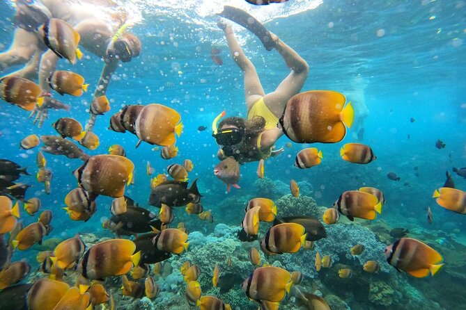 Snorkeling In Nusa Penida Island With Manta Ray From Bali - Gear, GoPro shots, and the stuff to bring from Bali