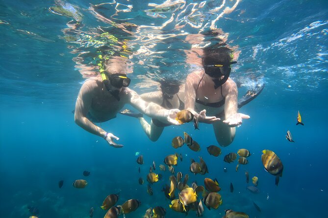 Snorkeling In Nusa Penida Island With Manta Ray From Bali - Price and value: is $95 a good deal from Seminyak?