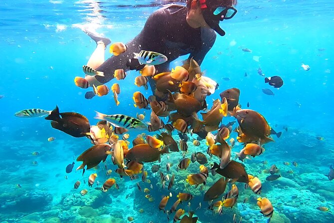 Snorkeling In Nusa Penida Island With Manta Ray From Bali - Service quality: what good crews do with your day
