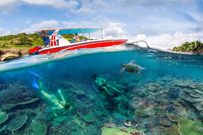 Snorkeling Manta Ray Safari in Nusa Penida - Price and Logistics: what $15.28 really buys you