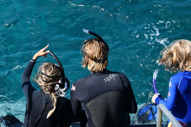 Snorkeling Manta Rays, Land Tour Tembeling Pool & Kelingking - Price and Logistics: Why $18.35 Can Still Be Worth It
